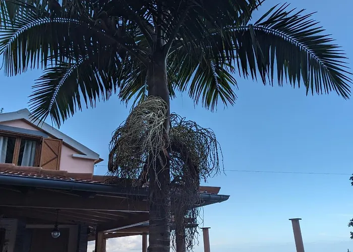 Fantatic House Сasa de vacaciones Ponta Delgada (Madeira)